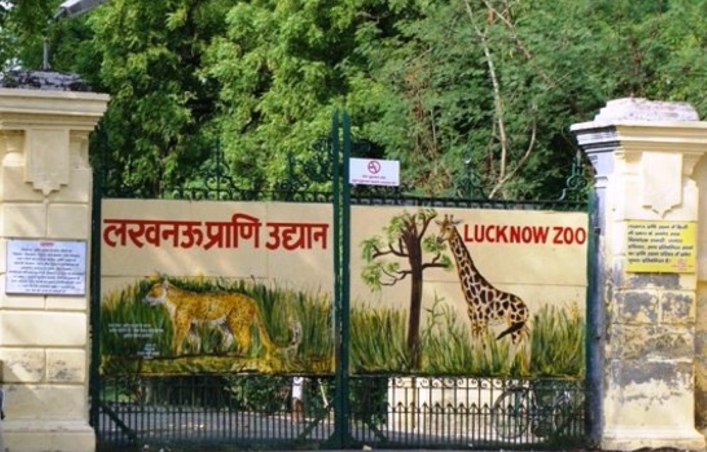 Nawab Wajid Ali Shah Zoological Garden